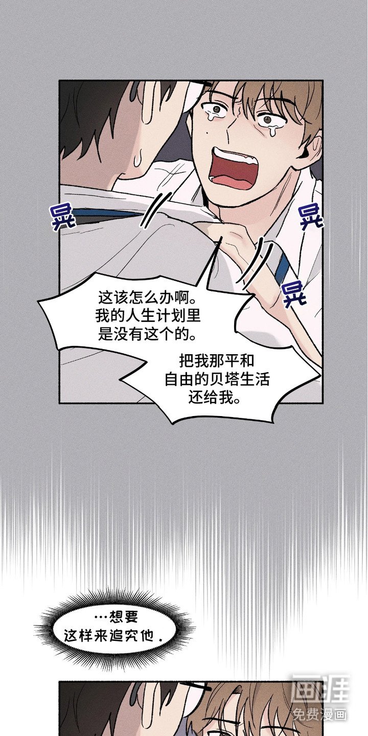第3章：再次见面
