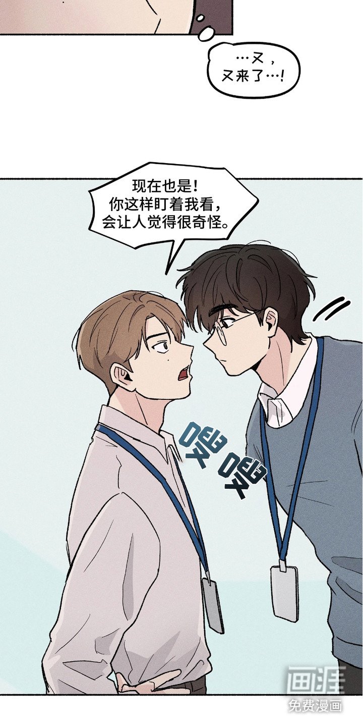 第4章：盯着看