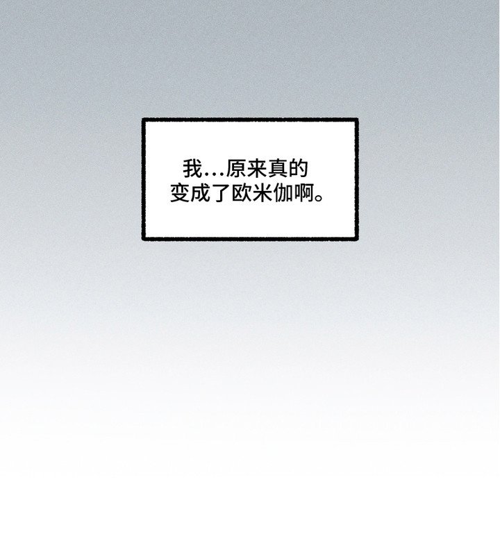 第4章：盯着看