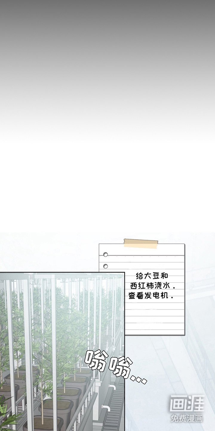 第13章：避难所