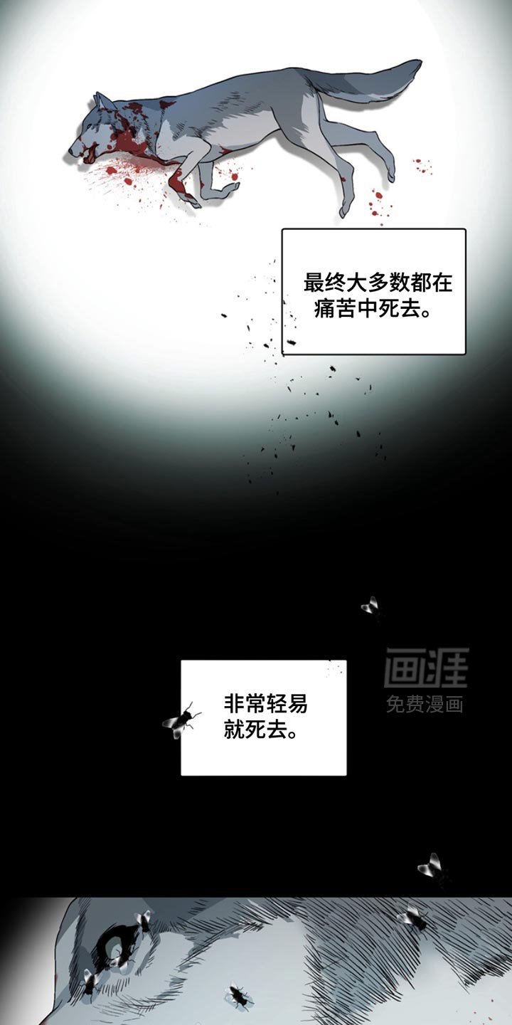第21章：外传：我不想告诉你