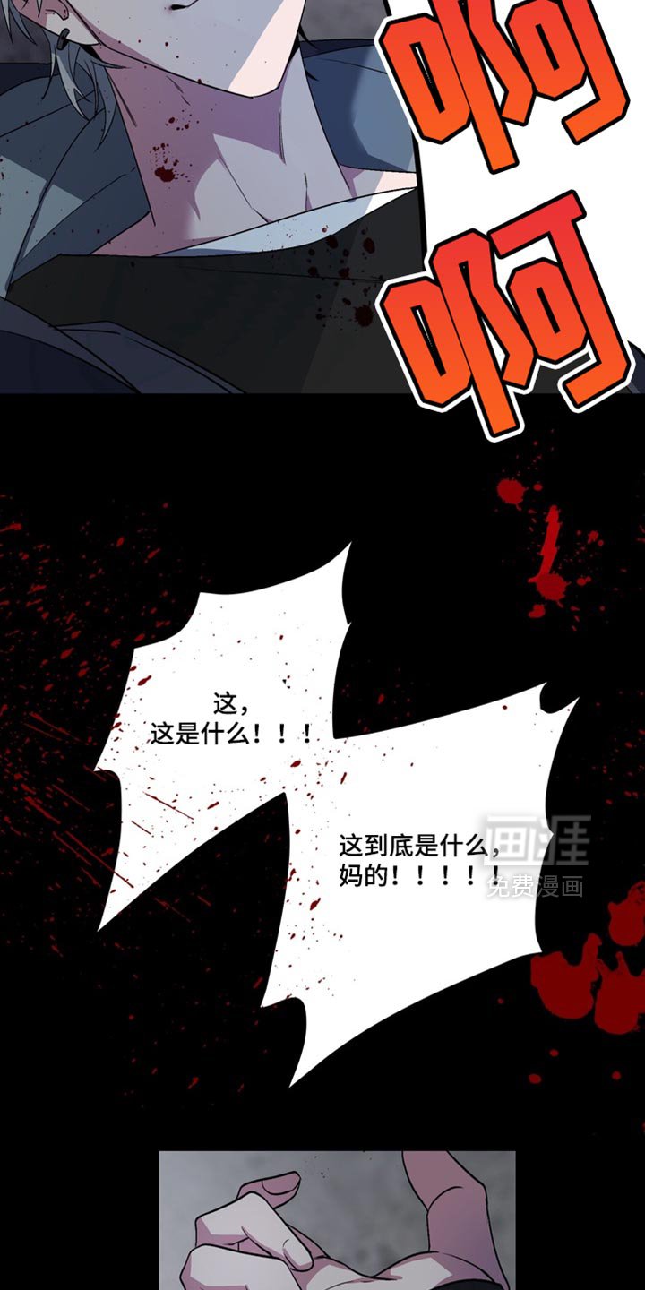 第24章：外传：正确的选择