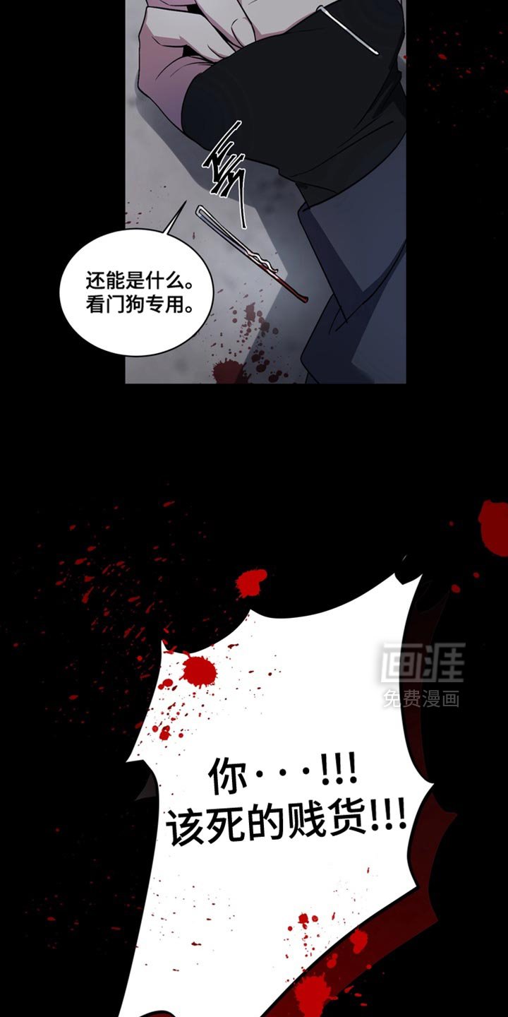 第24章：外传：正确的选择
