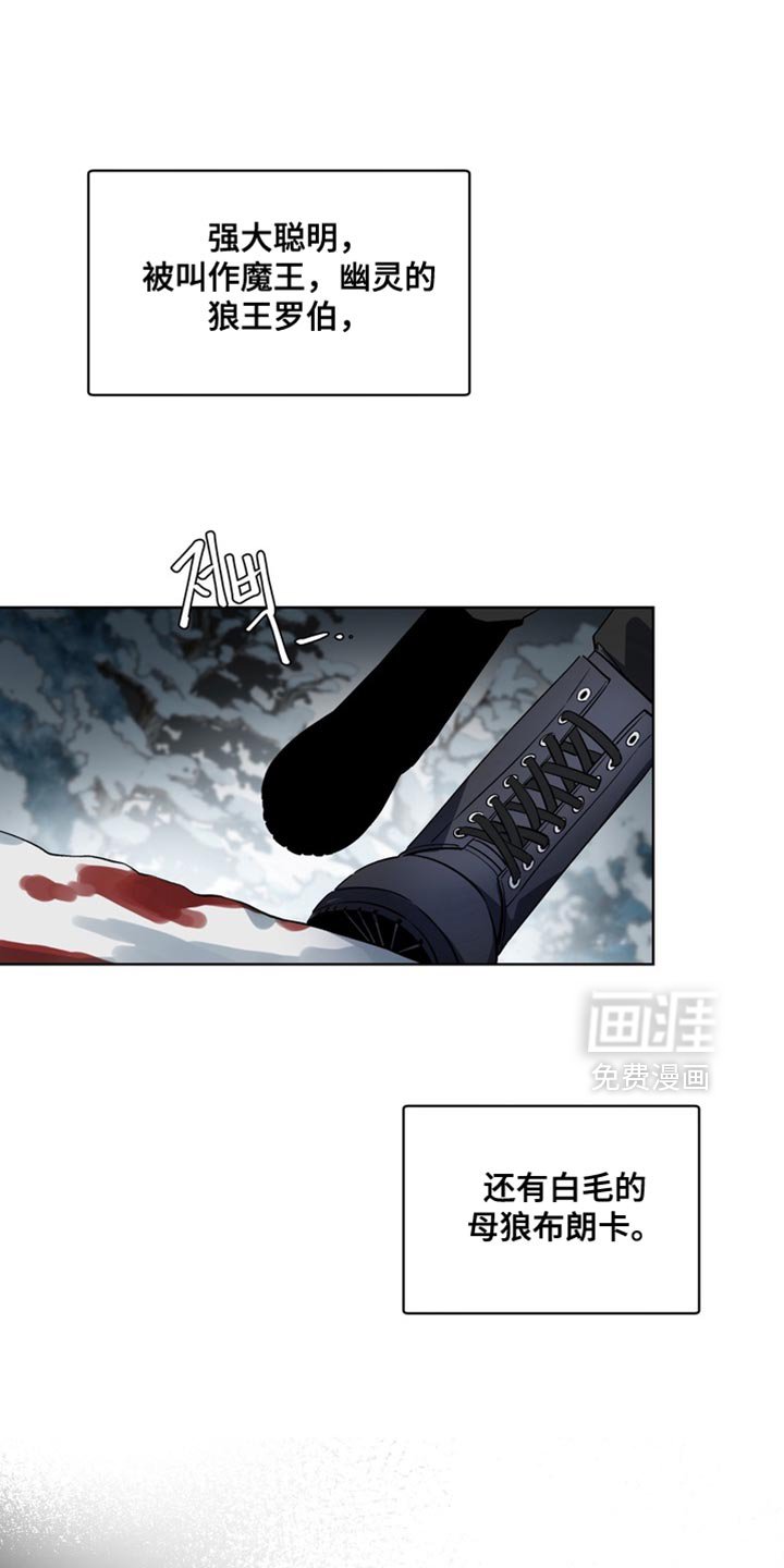 第30章：外传：悲伤的故事