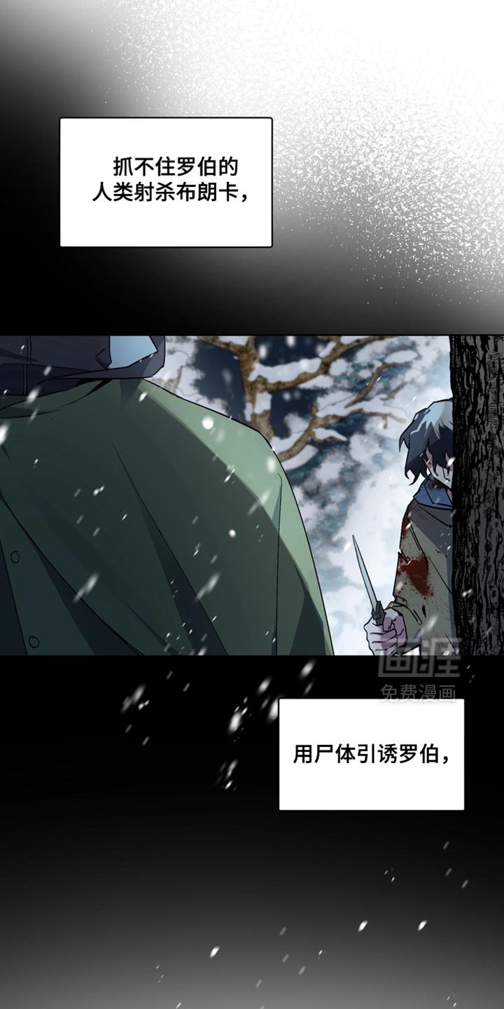第30章：外传：悲伤的故事