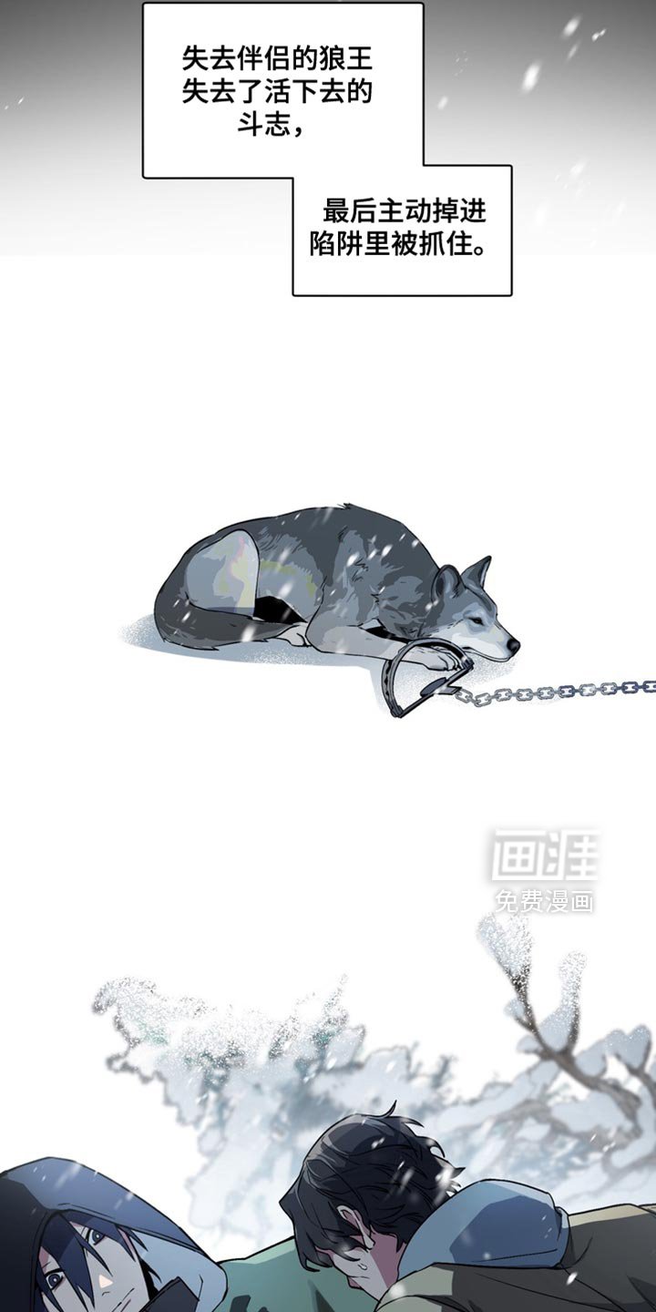 第30章：外传：悲伤的故事
