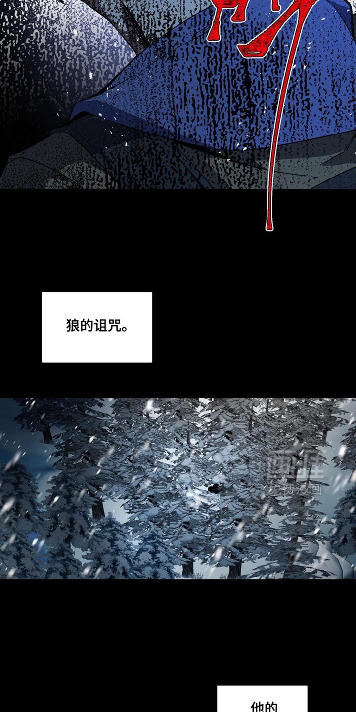 第37章：外传：狼王