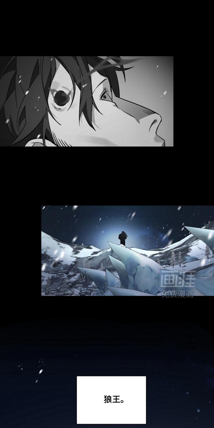 第37章：外传：狼王