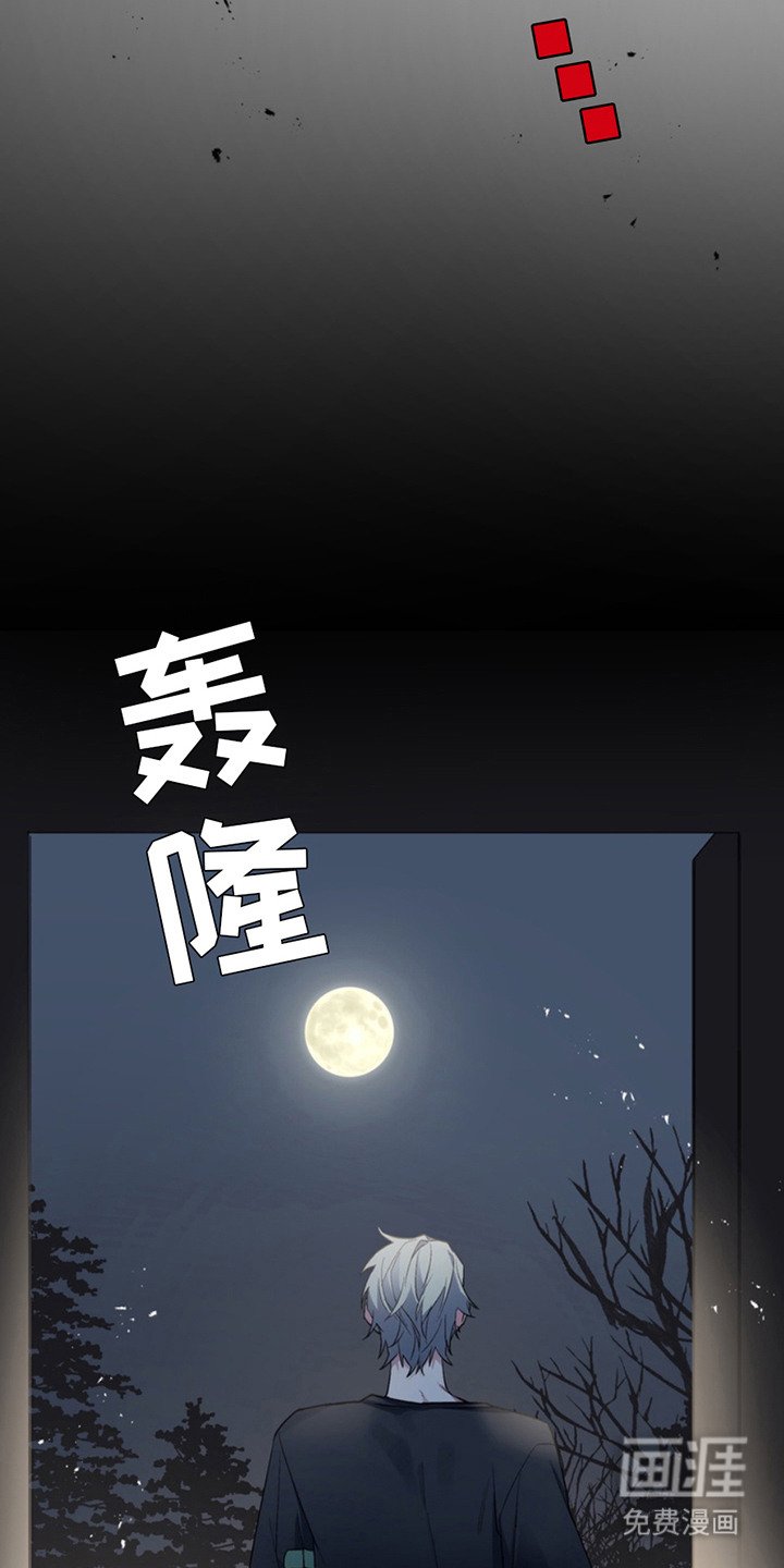 第9章：出口