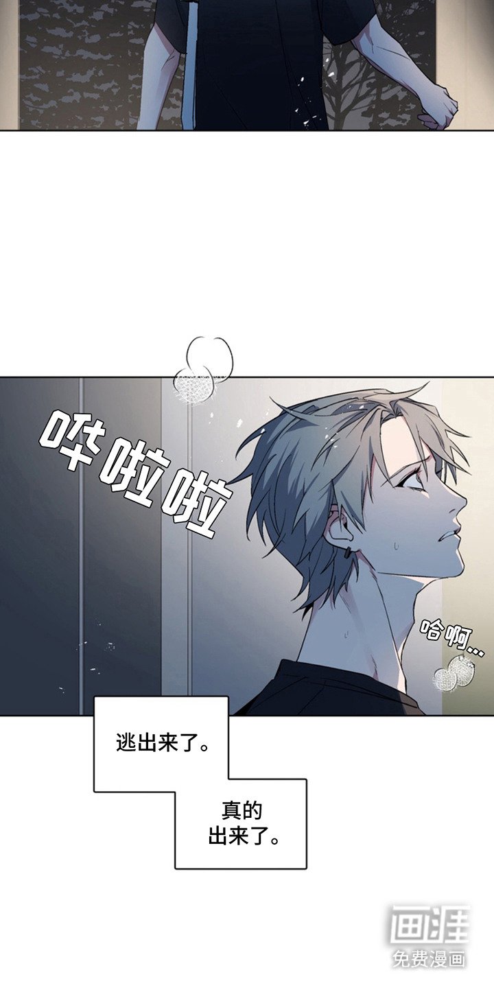第9章：出口