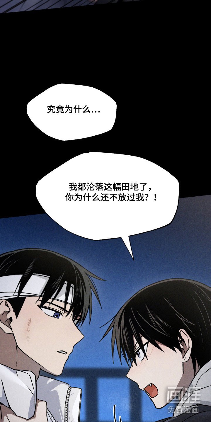 第19章：配合