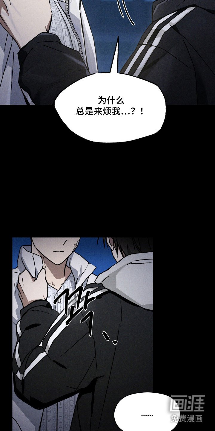 第19章：配合