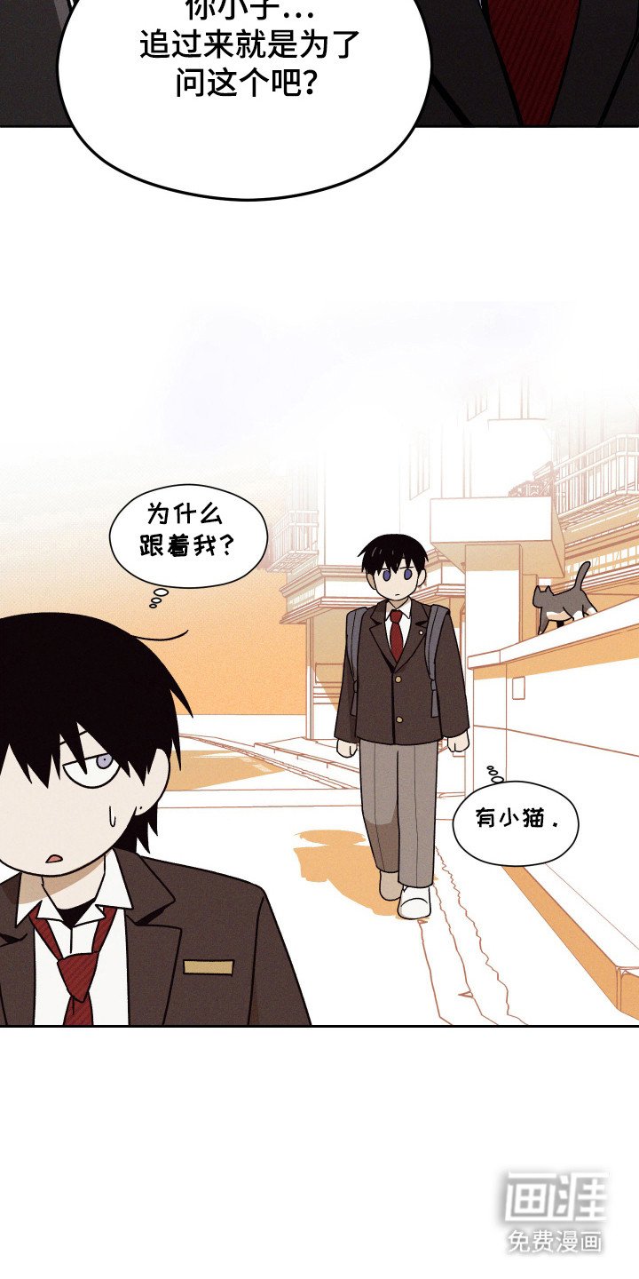 第28章：准备退学