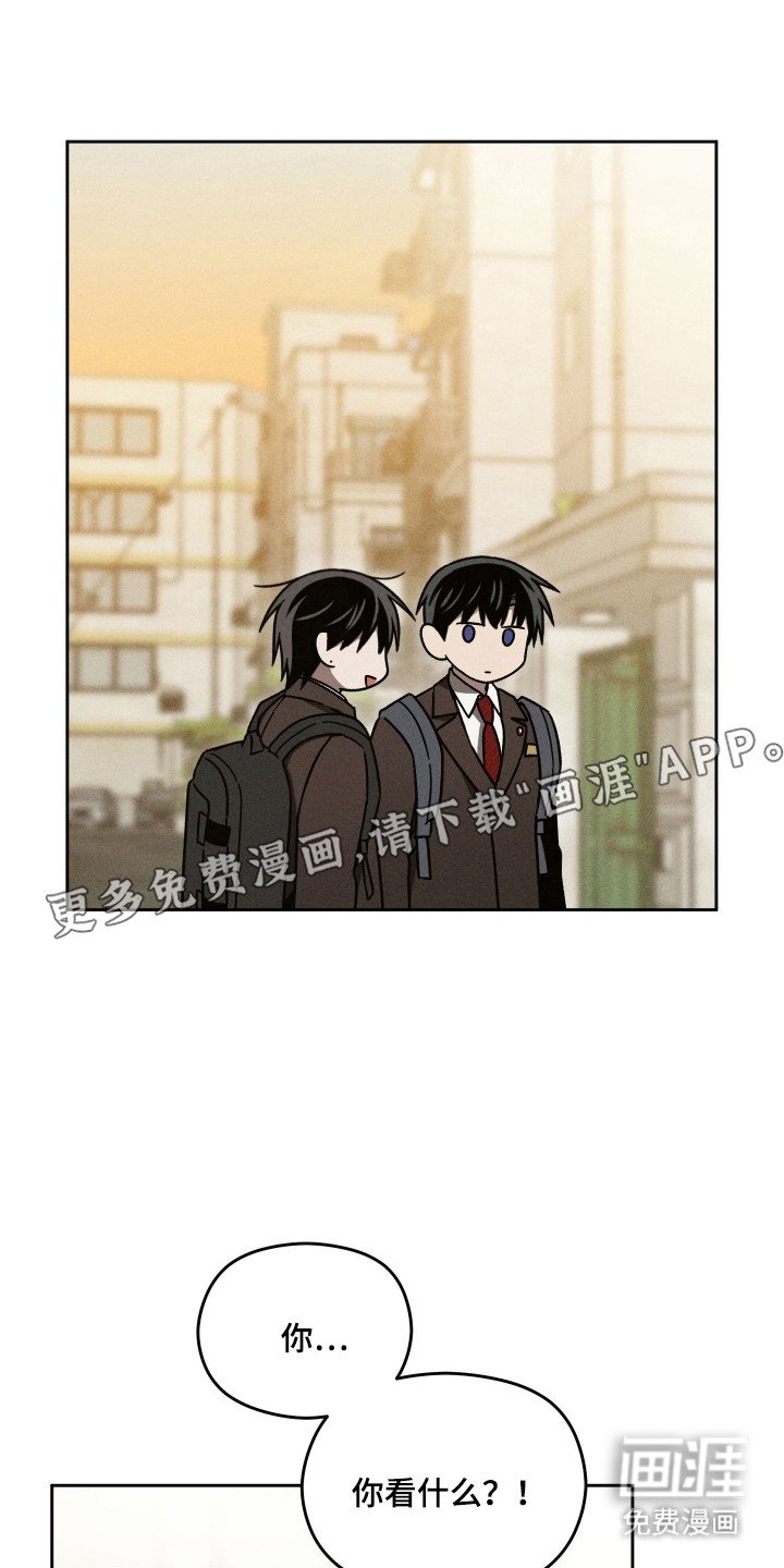 第41章：和平一天