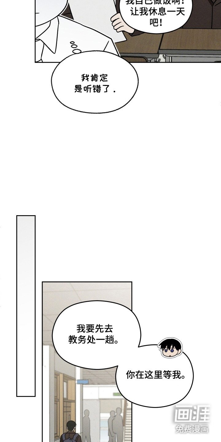 第41章：和平一天
