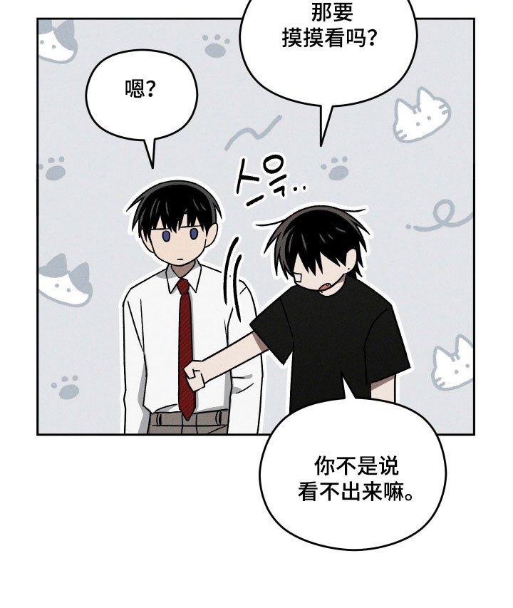 第44章：接触