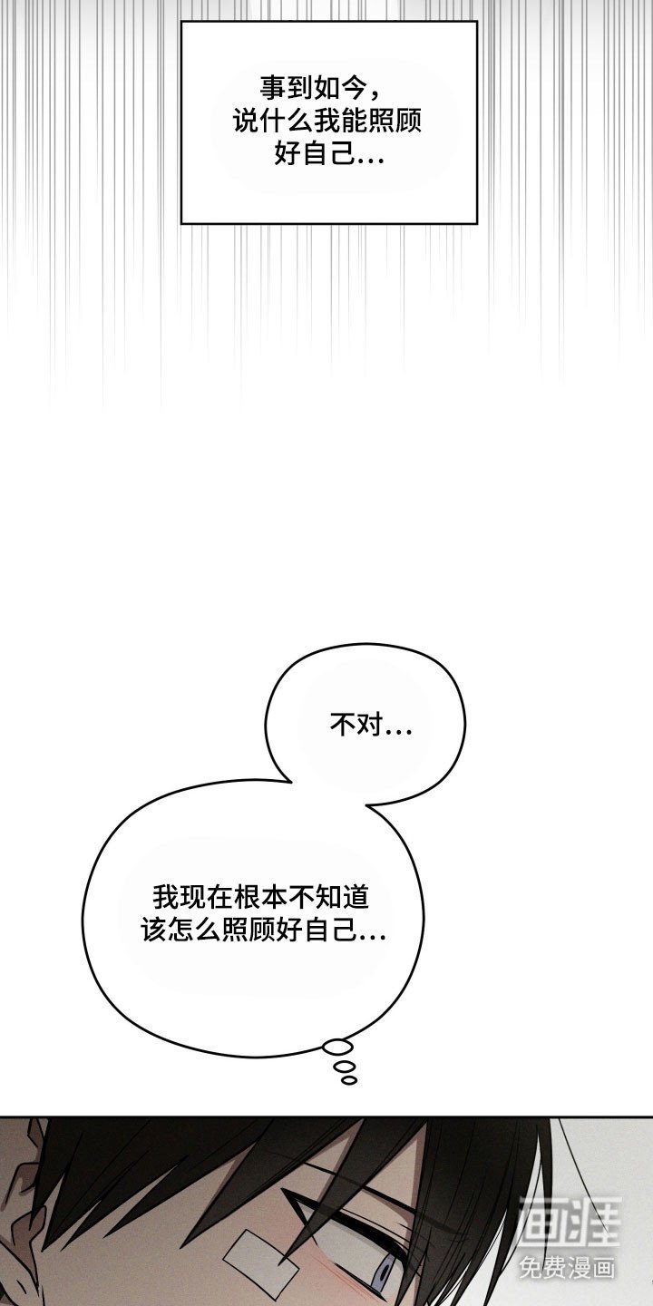 第51章：因为喜欢
