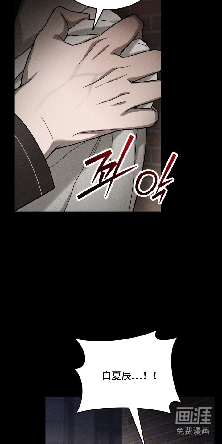 第61章：因为喜欢