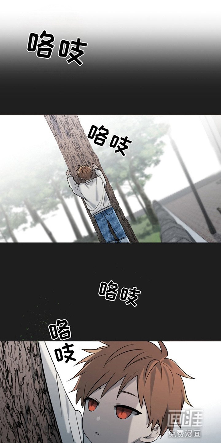 第11章：夜袭
