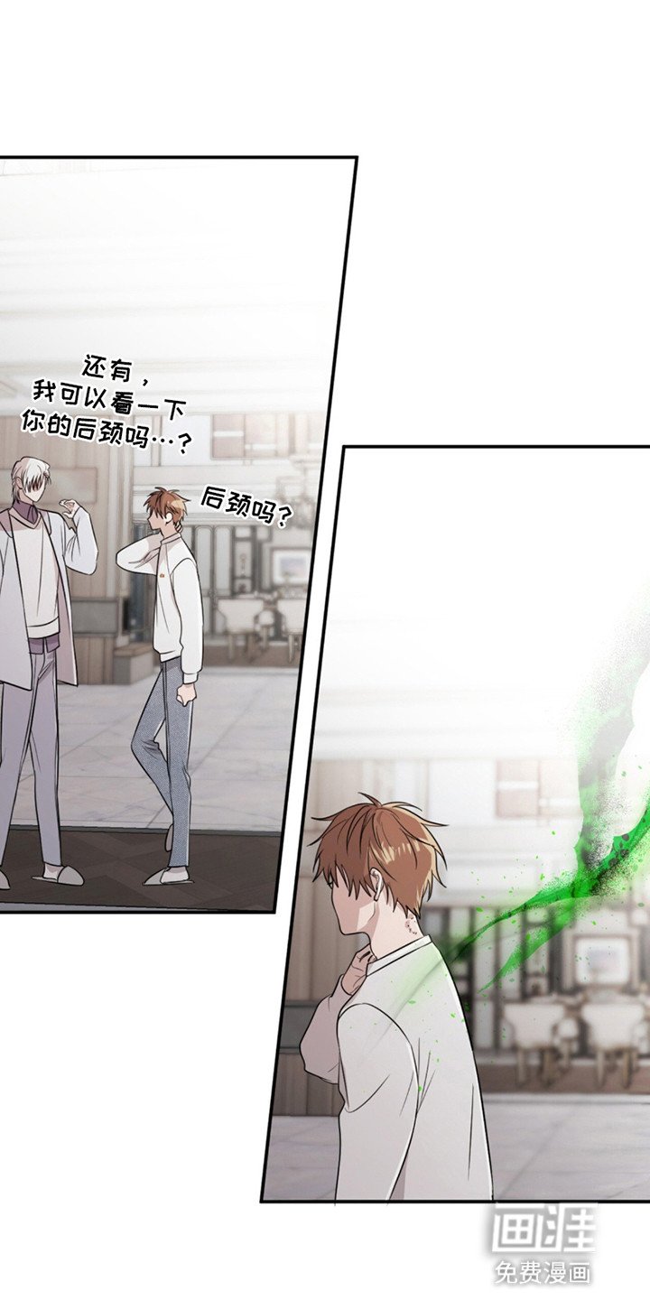第13章：惊人的寿命
