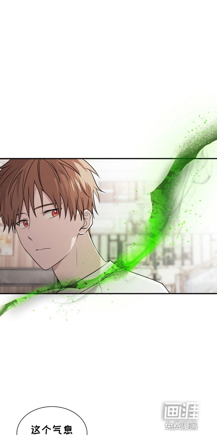 第13章：惊人的寿命