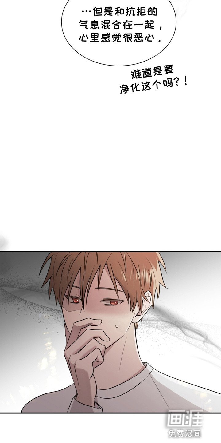 第13章：惊人的寿命