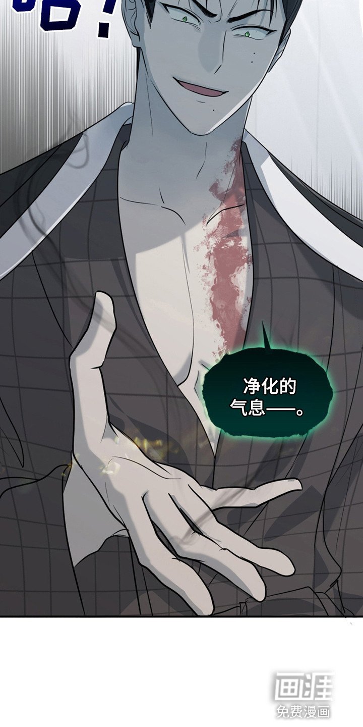 第13章：惊人的寿命