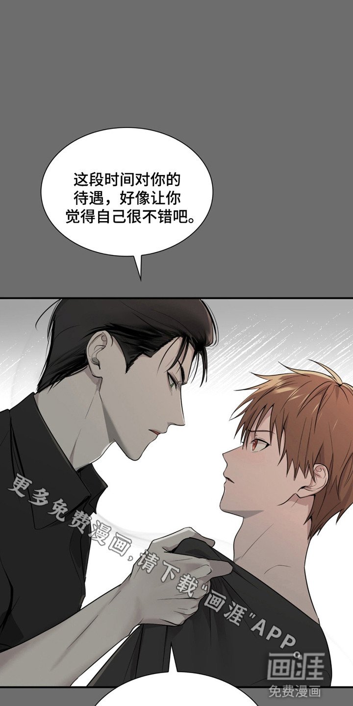 第15章：净化