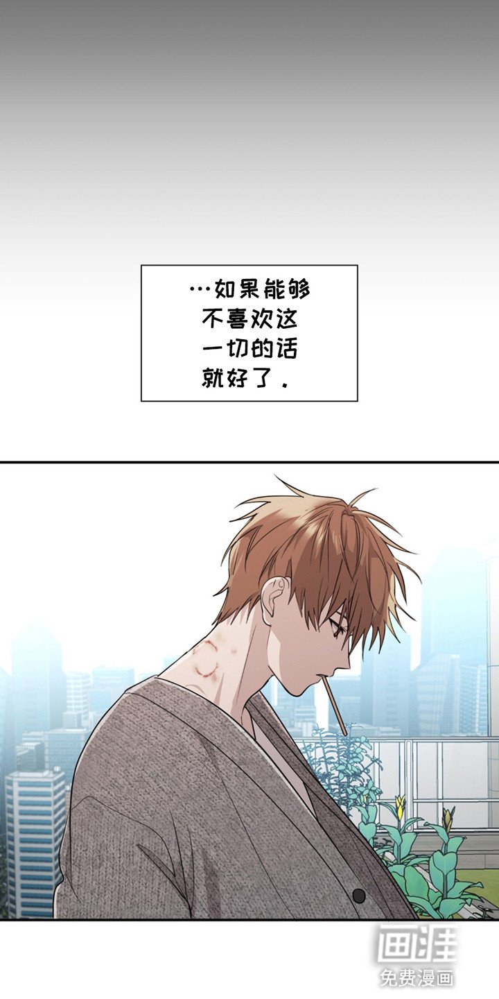 第15章：净化