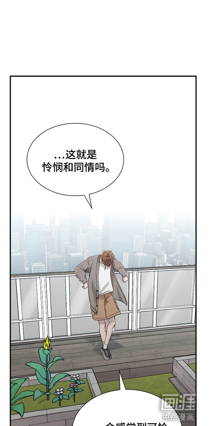 第15章：净化