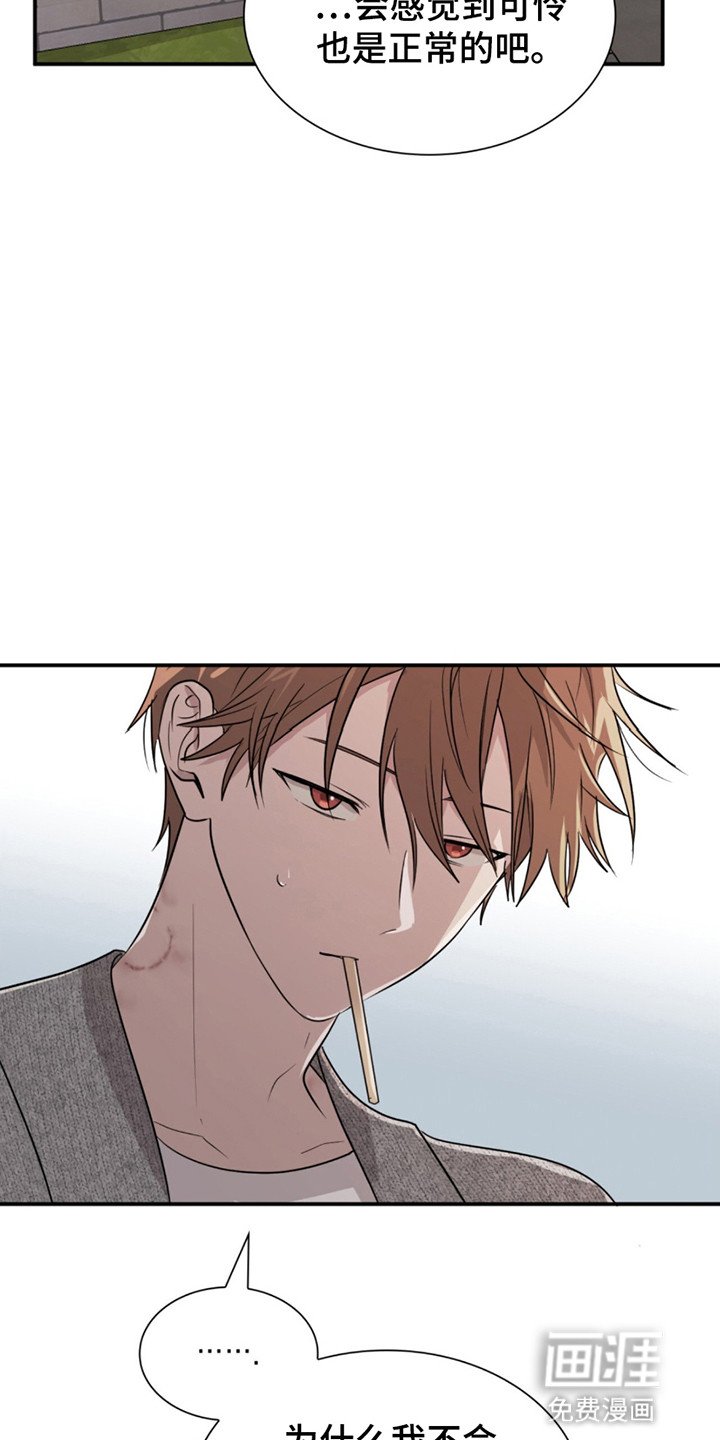 第15章：净化
