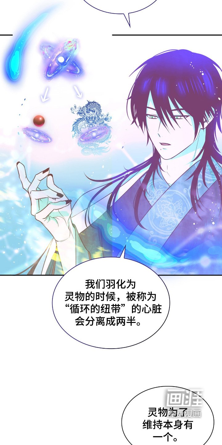 第30章：怎样形成的