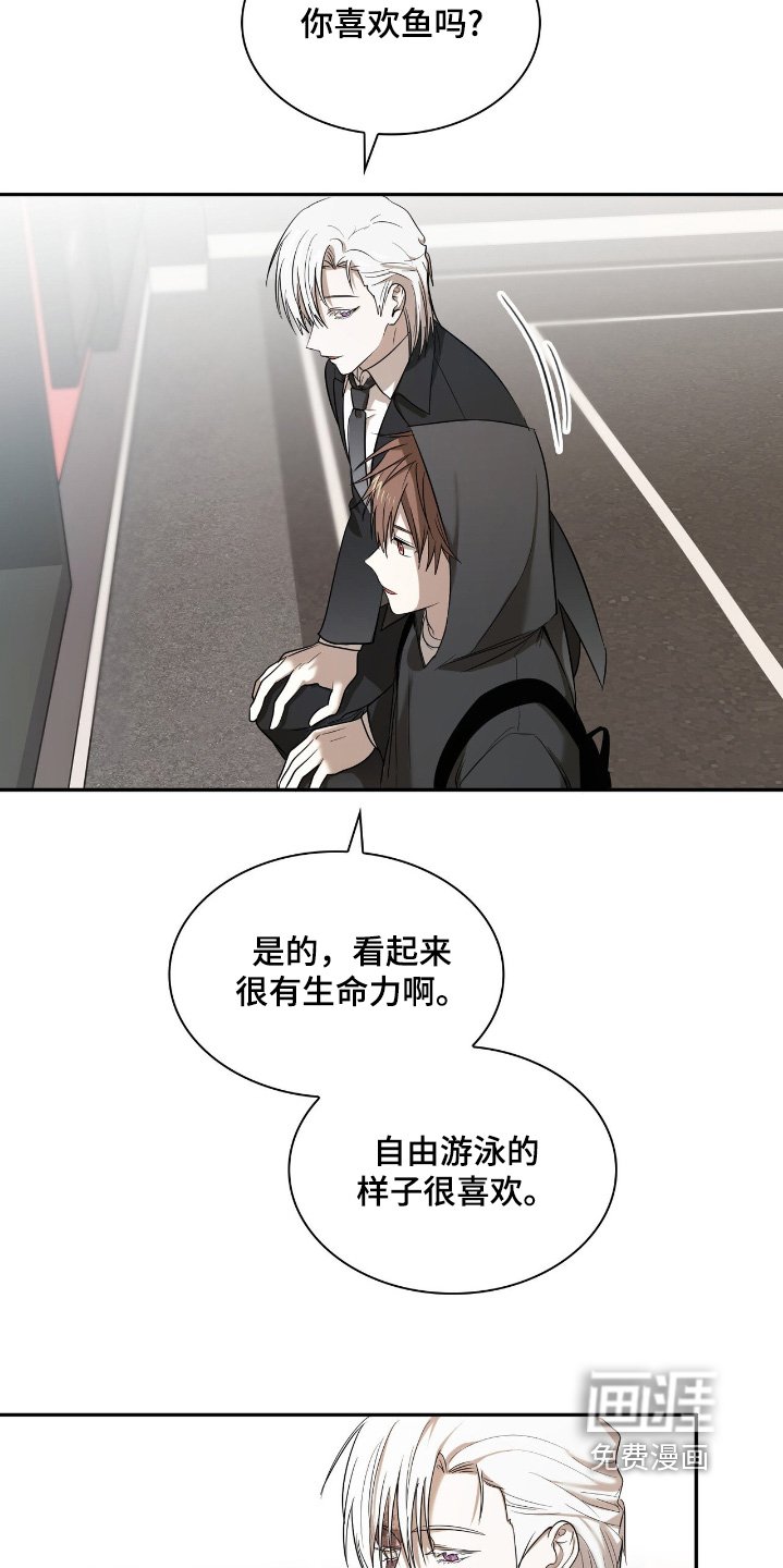 第32章：你喜欢鱼嘛
