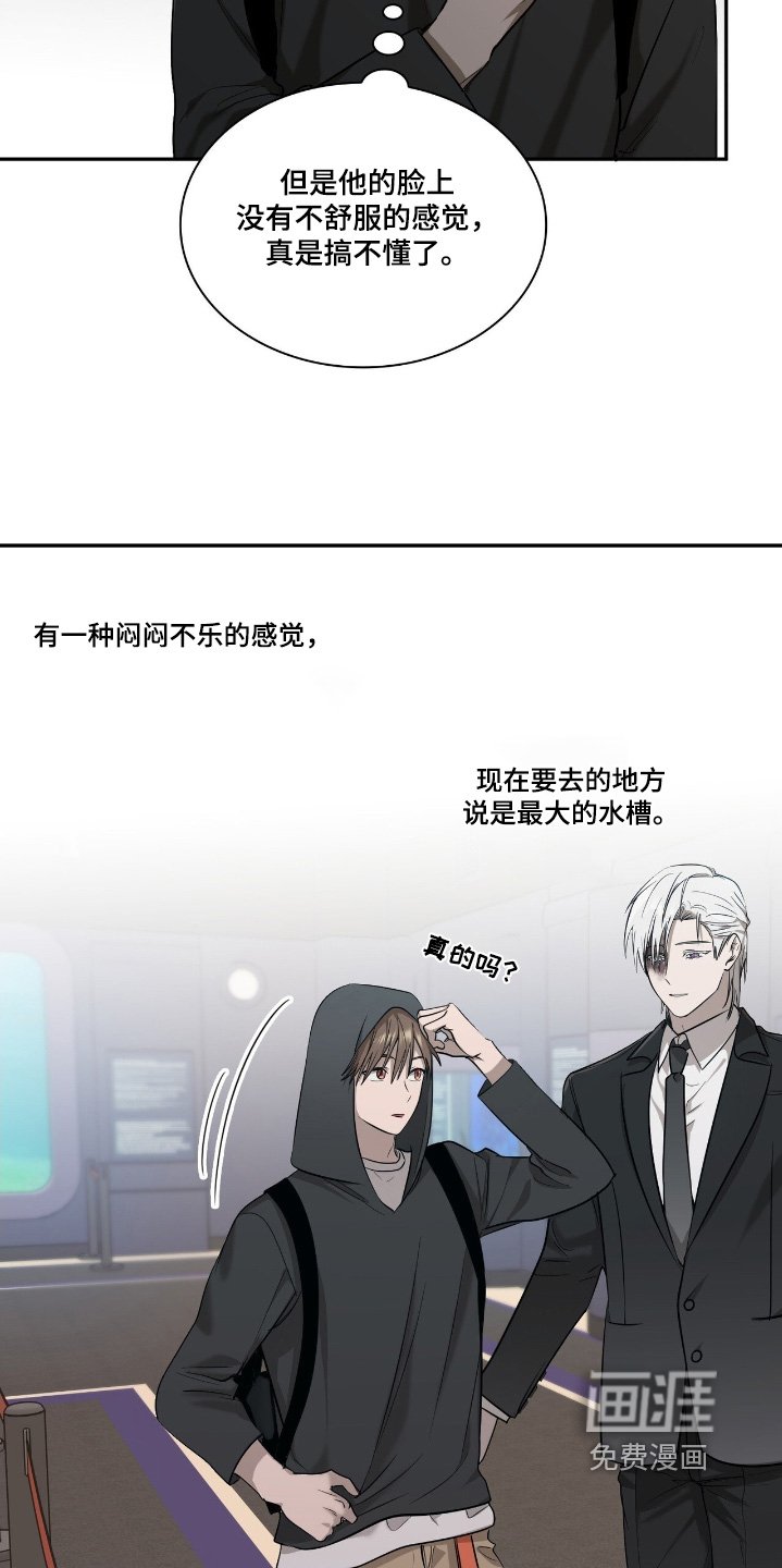 第34章：果然是