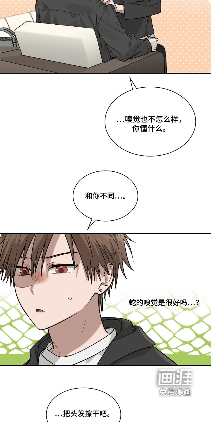 第37章：进化