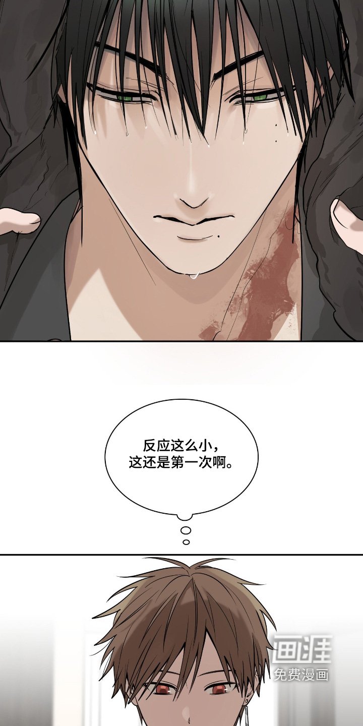 第37章：进化