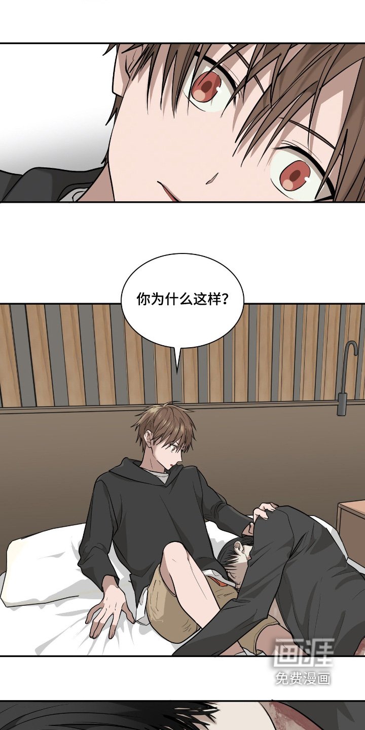 第37章：进化