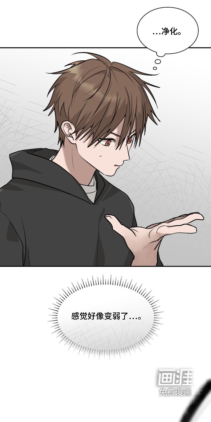 第37章：进化