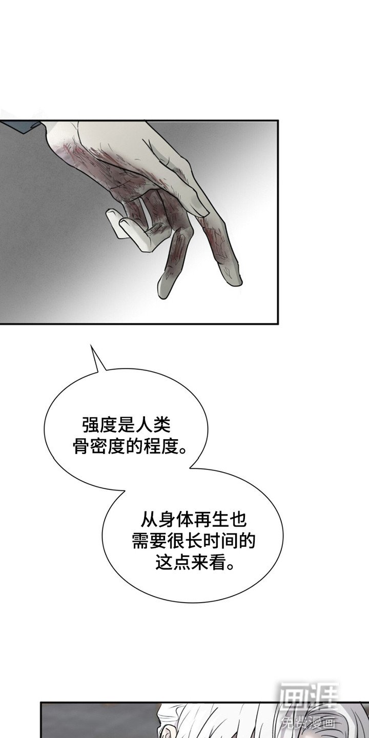 第4章：治愈