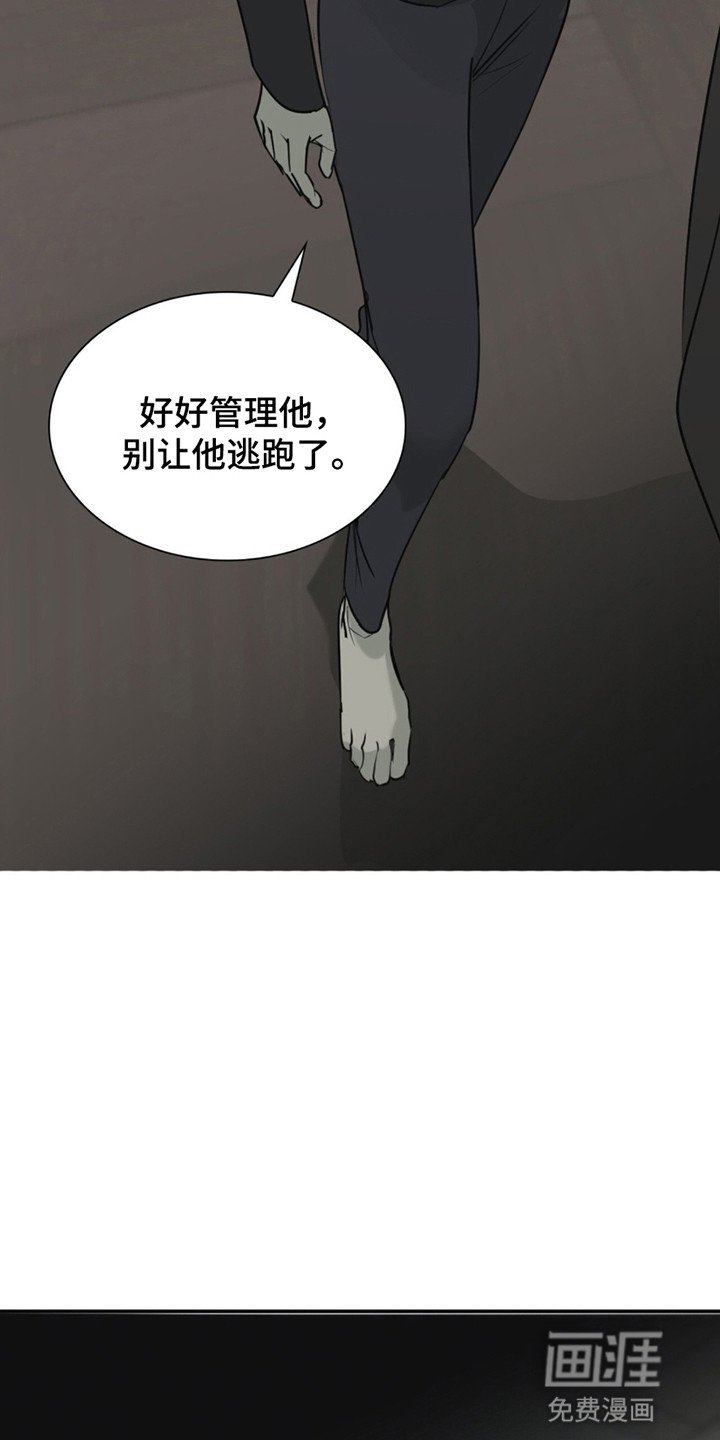 第4章：治愈
