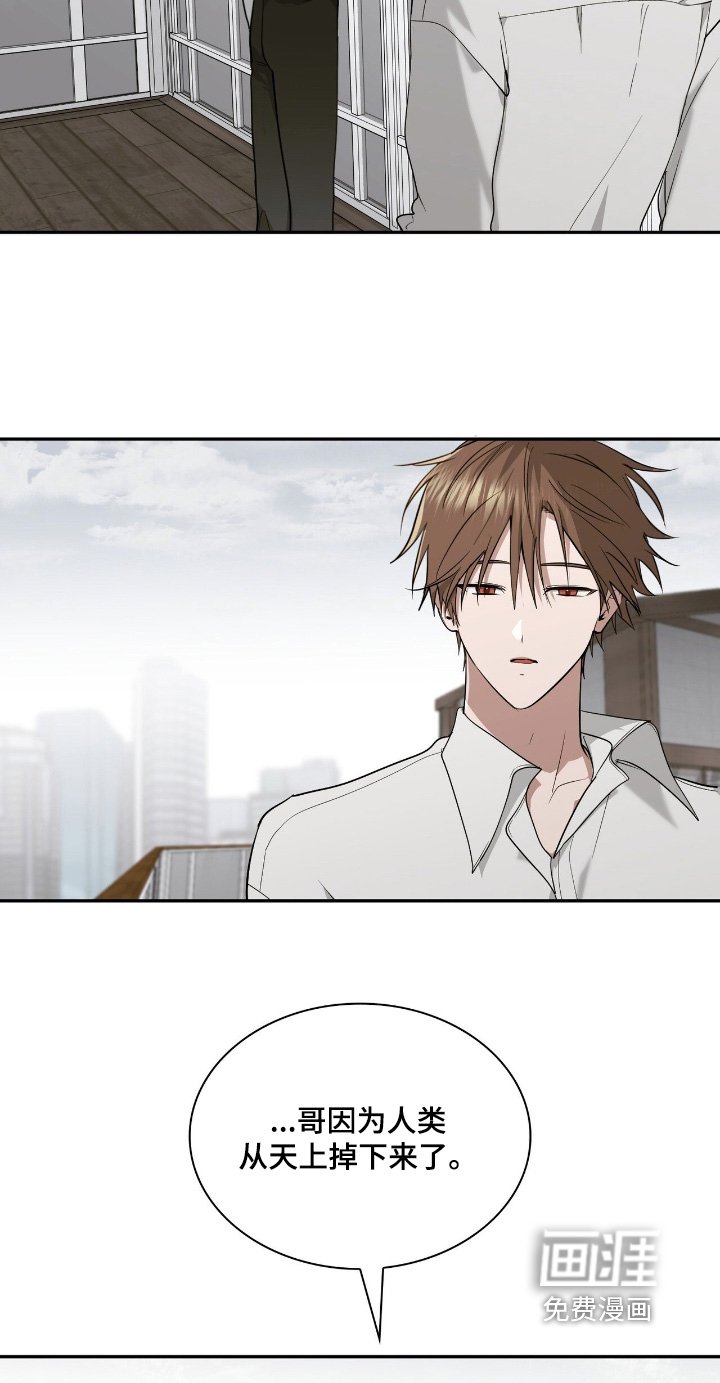 第49章：失去一切