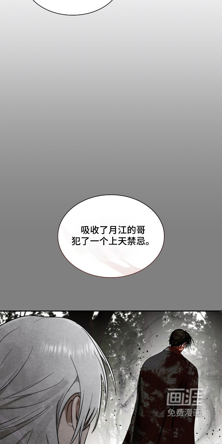 第50章：一定要见到你