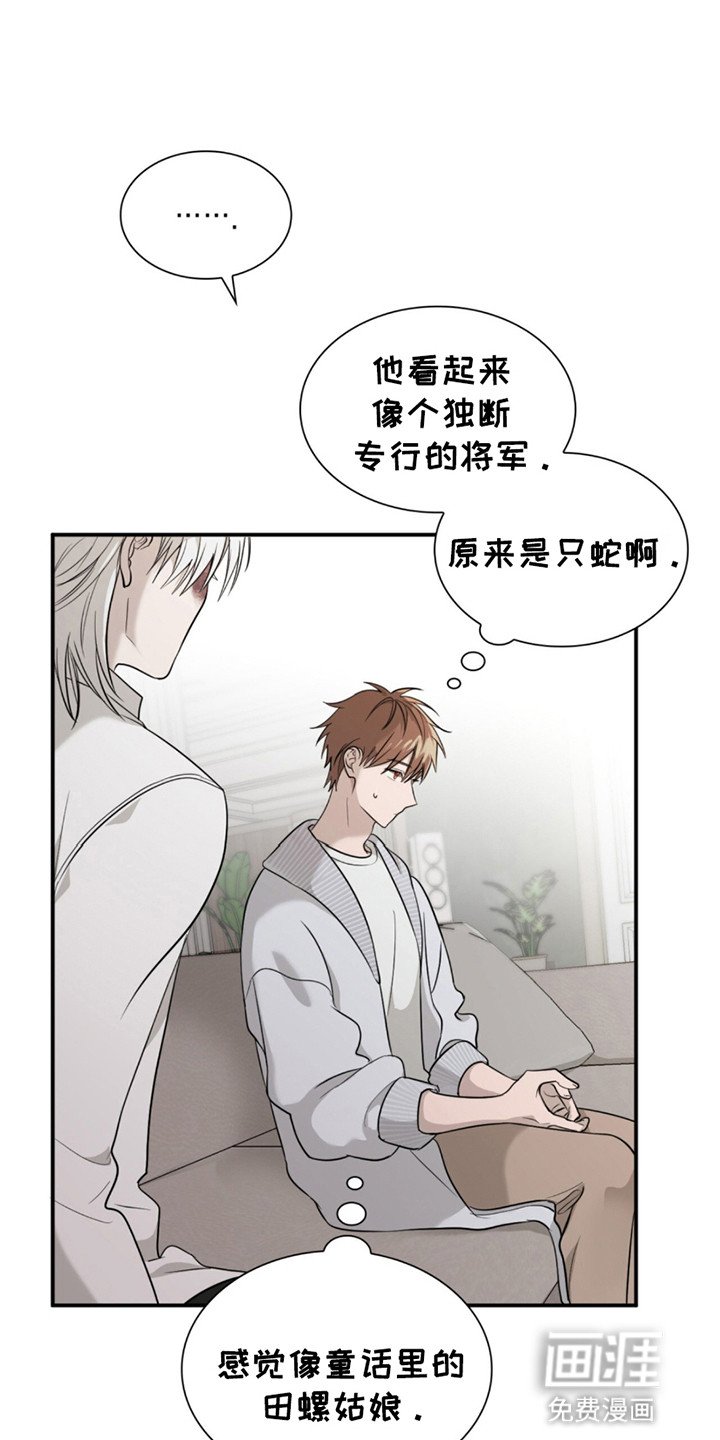 第7章：转机