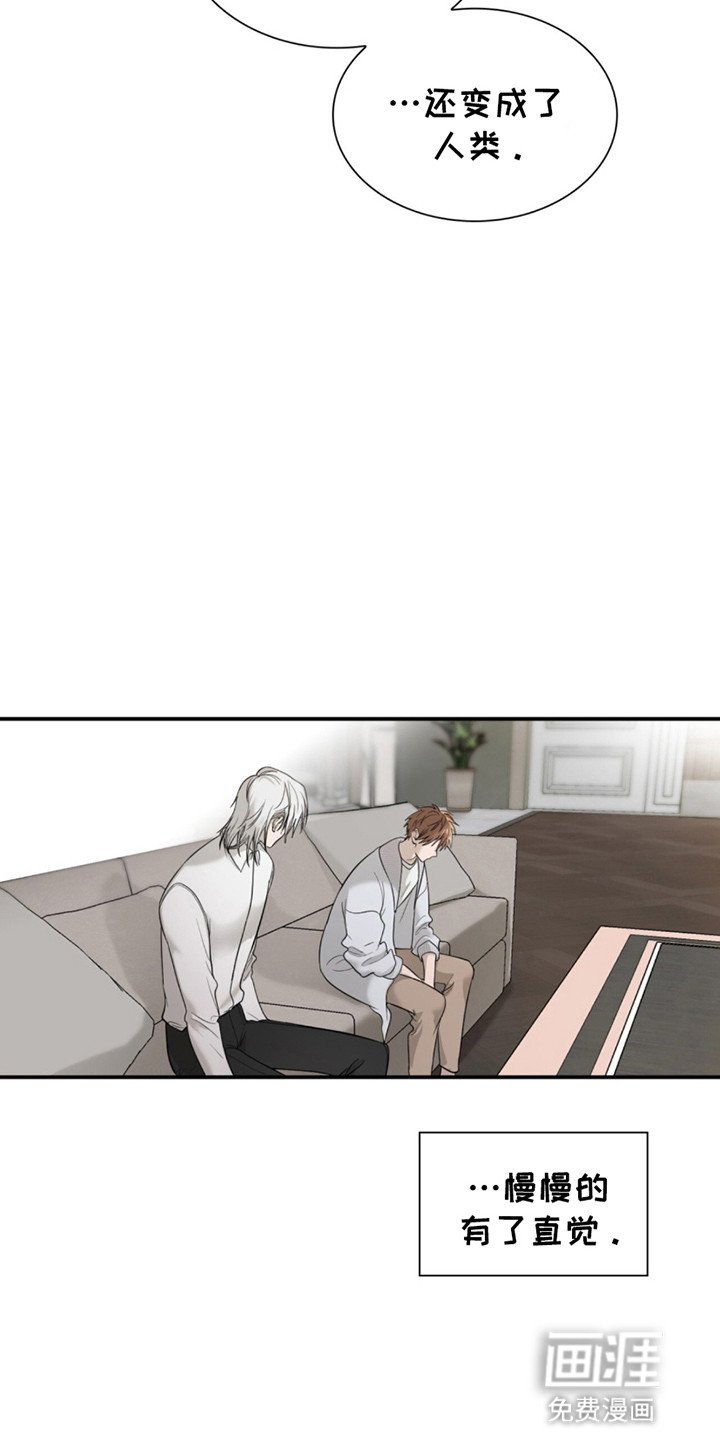 第7章：转机