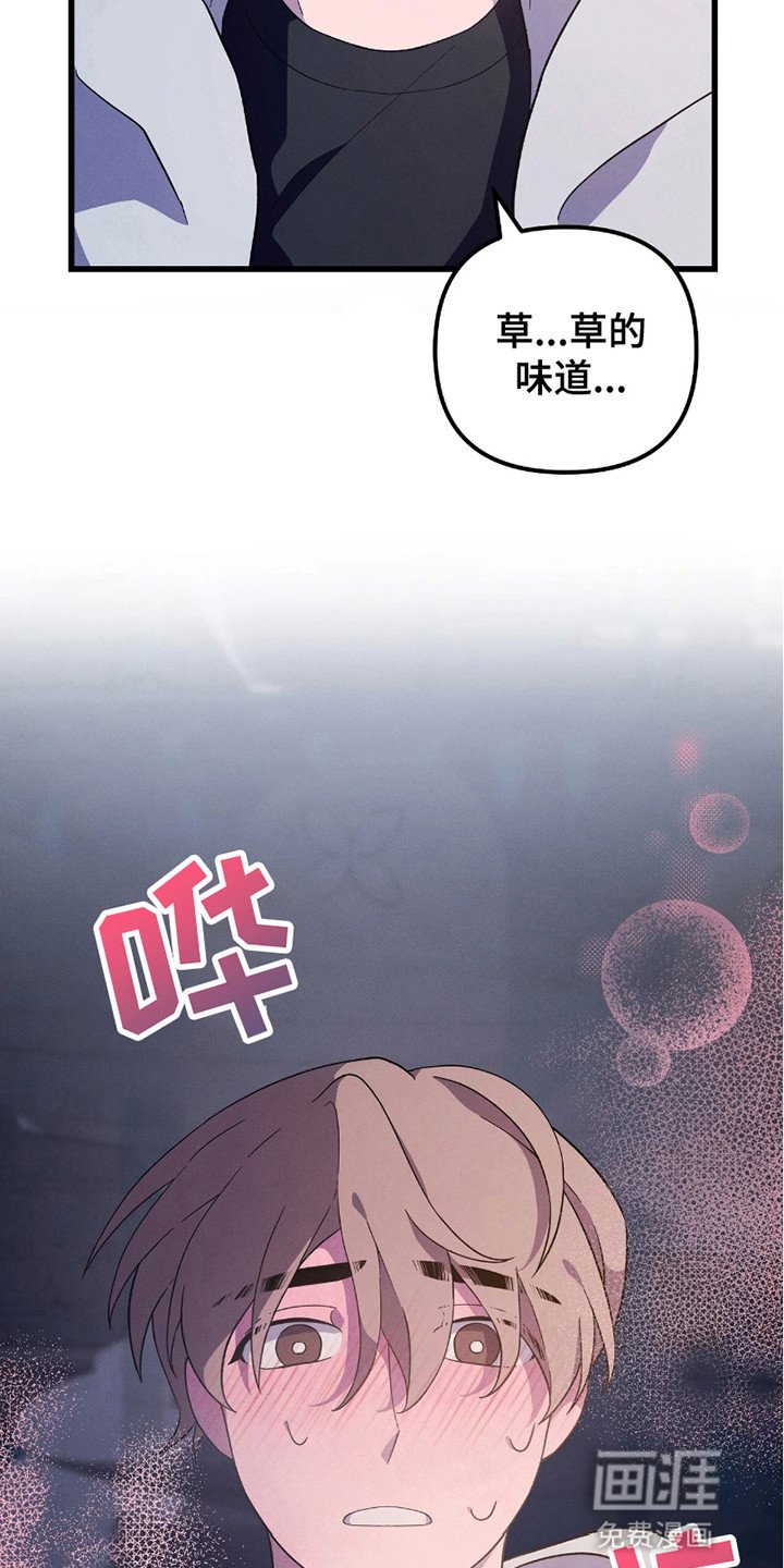 第2章：轻薄