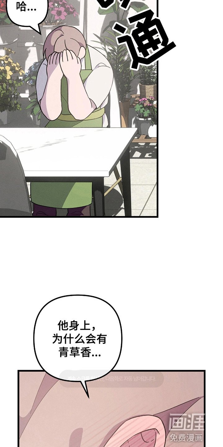 第6章：礼物