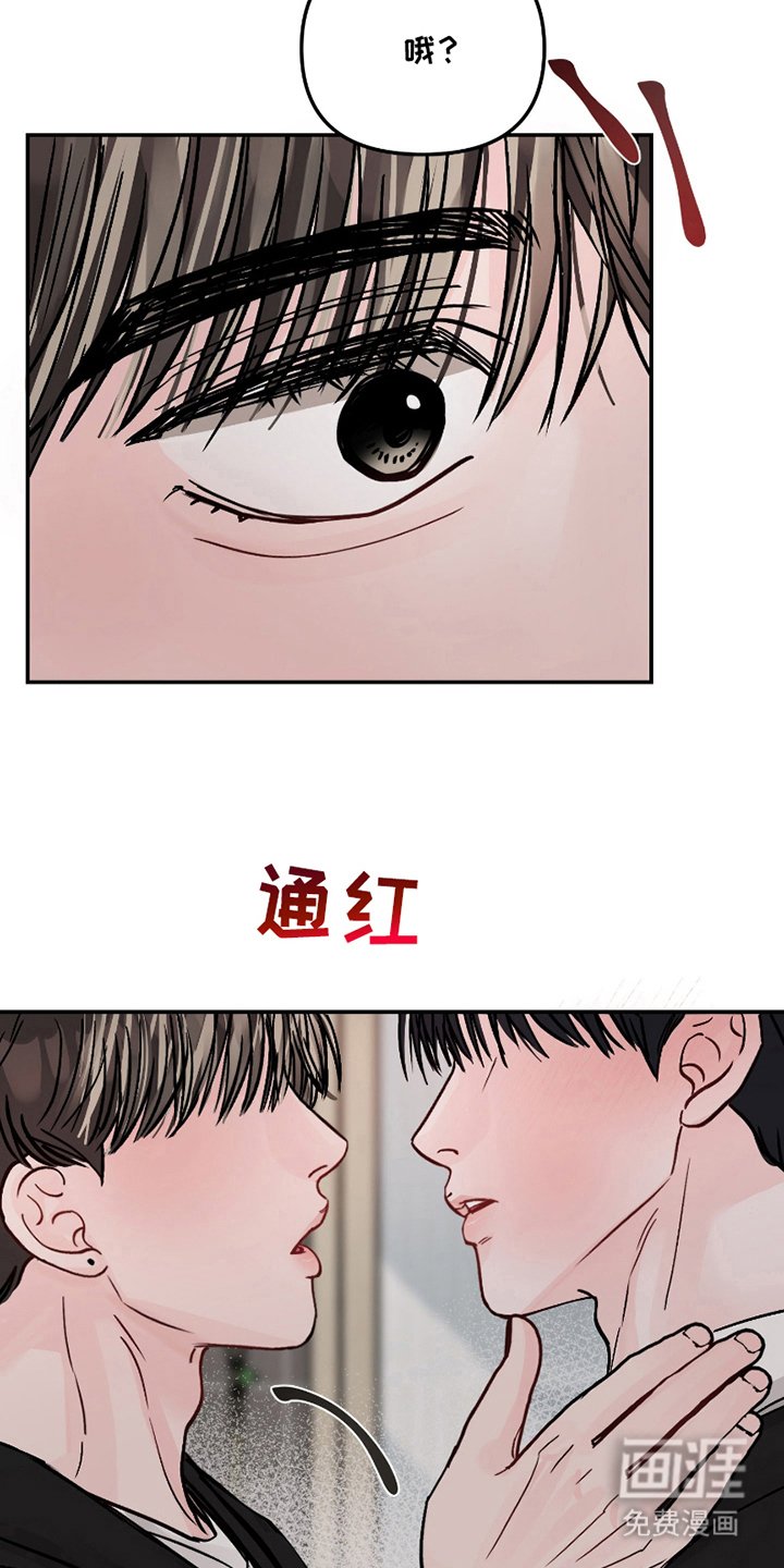 第11章：奇怪的举动
