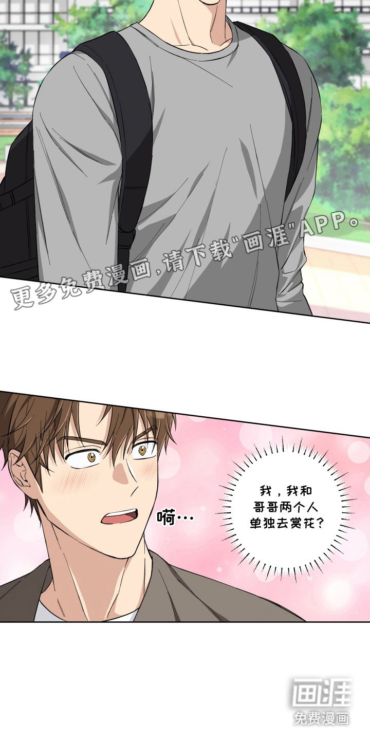 第11章：心花怒放