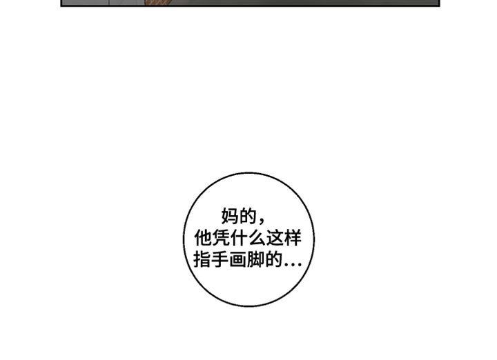 第21章：指手画脚