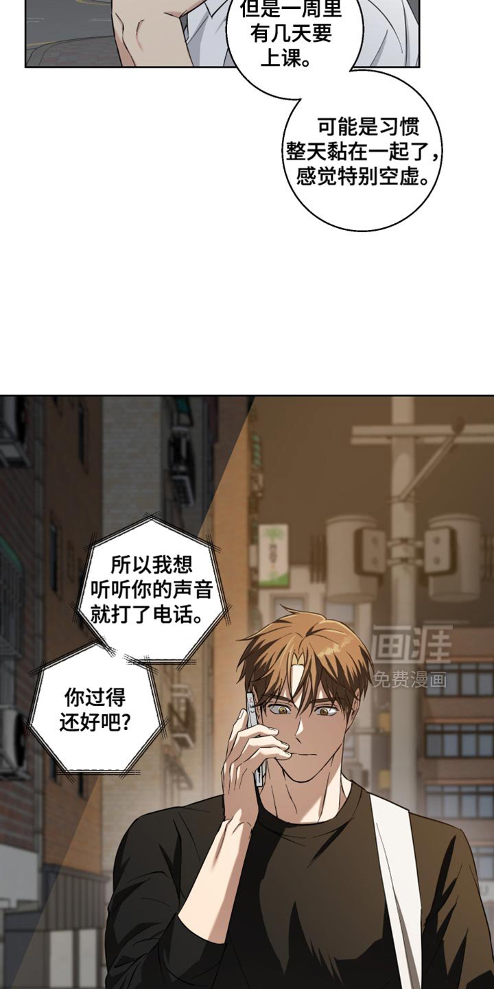 第27章：可以老实回答我吗